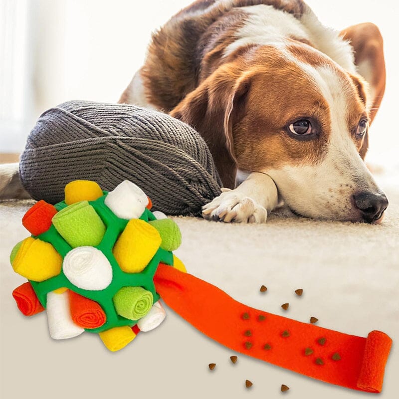 Dog Chew Toy - Image 2