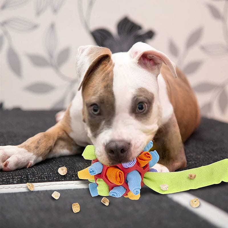 Dog Chew Toy - Image 5