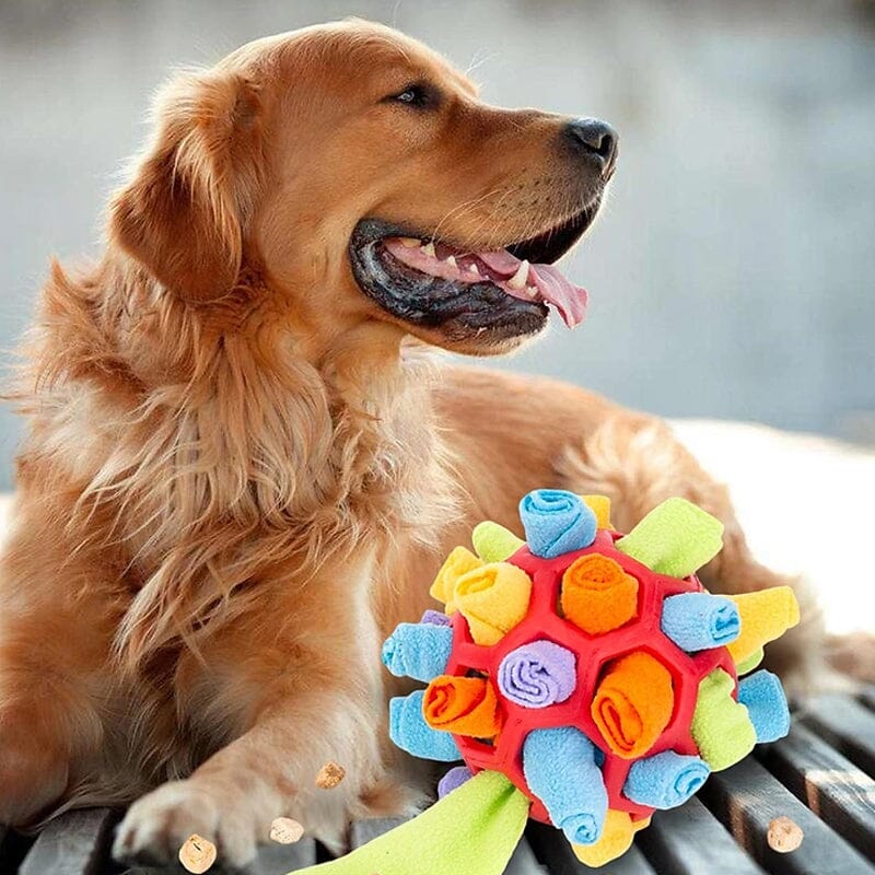 Dog Chew Toy - Image 7