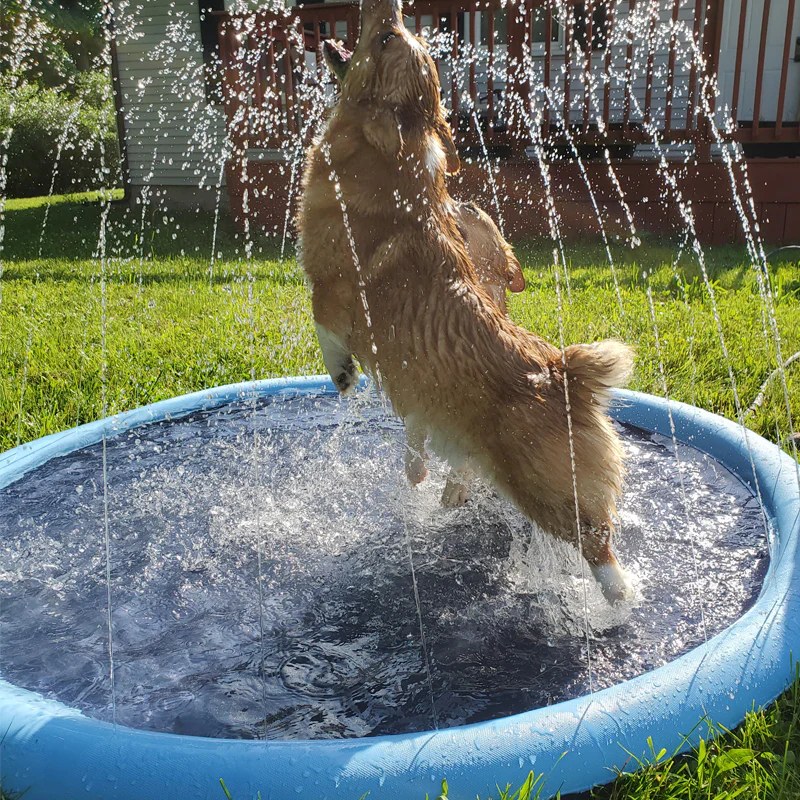 Dog Sprinkler Pool 59''x59'' - Image 4