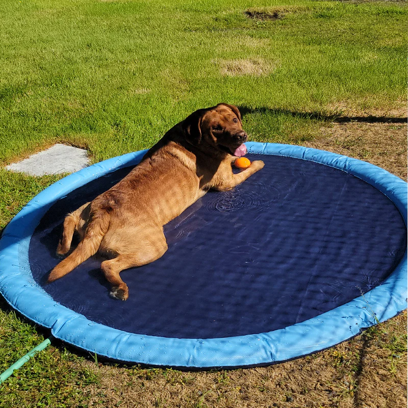 Dog Sprinkler Pool 59''x59'' - Image 5