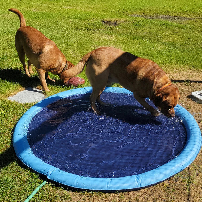 Dog Sprinkler Pool 59''x59'' - Image 6