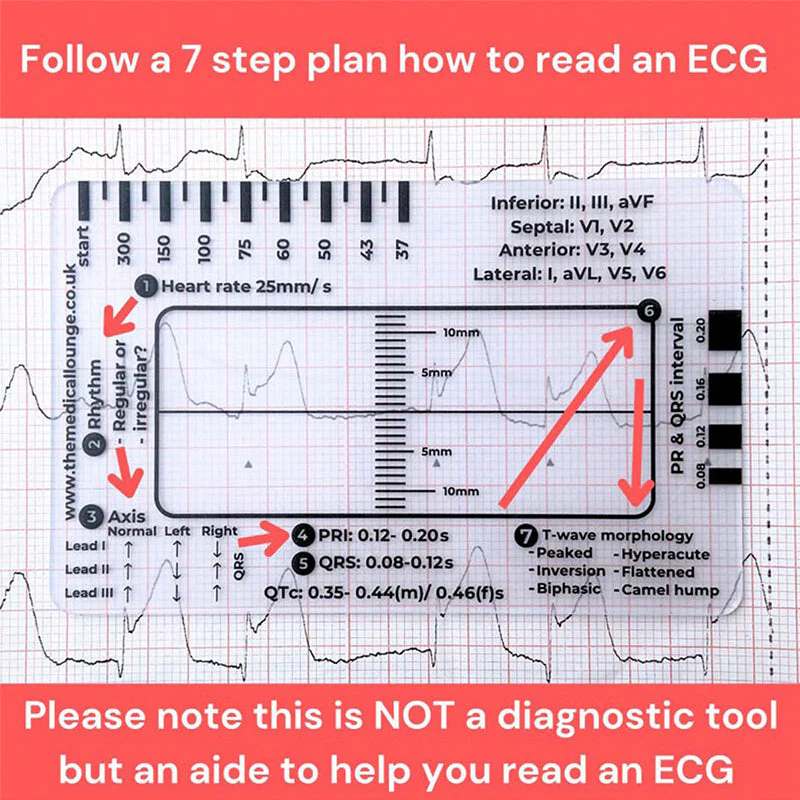 ECG 7 Step Ruler - Image 2