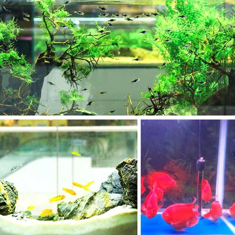 Eco-Aquarium Water Purifier Cube - Image 2