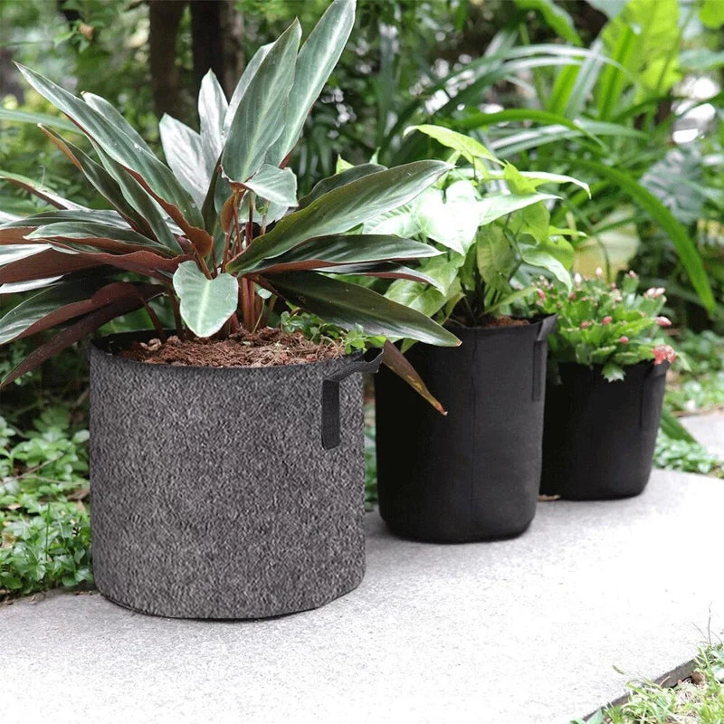 Fabric Vegetable Plant Growth Bag - Image 10