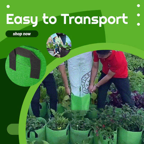 Fabric Vegetable Plant Growth Bag - Image 2