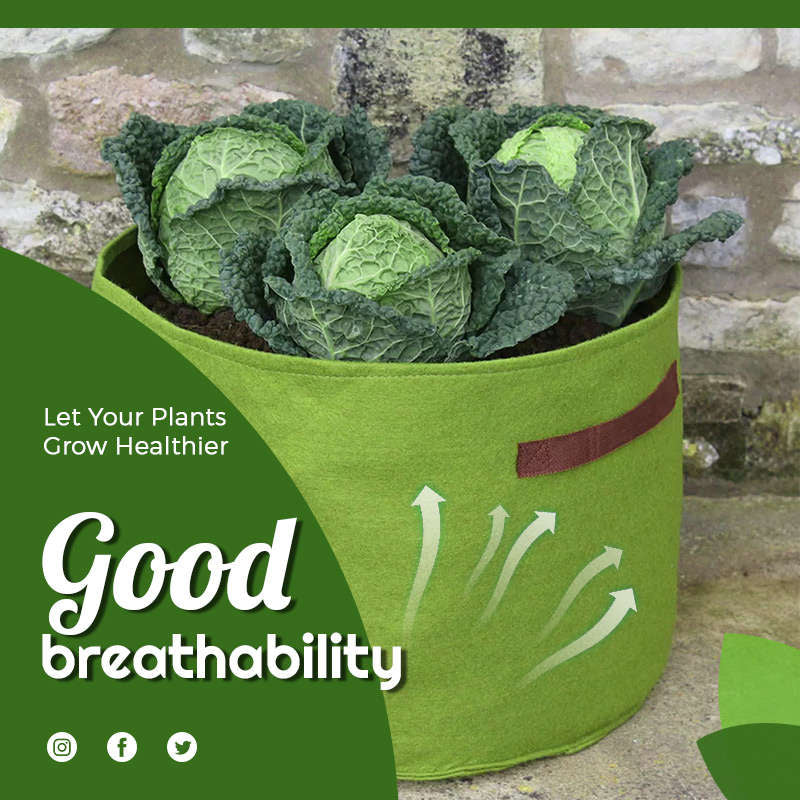 Fabric Vegetable Plant Growth Bag - Image 3