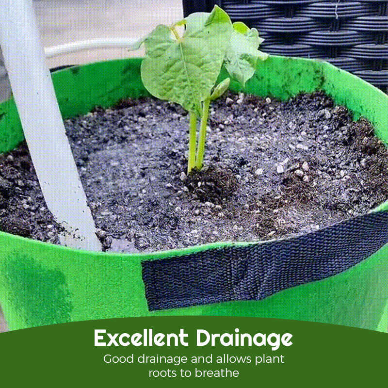 Fabric Vegetable Plant Growth Bag - Image 6