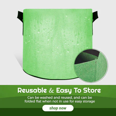 Fabric Vegetable Plant Growth Bag - Image 7