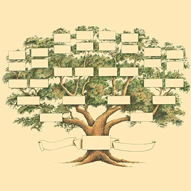 Family Tree Genealogy Diagram - Image 11