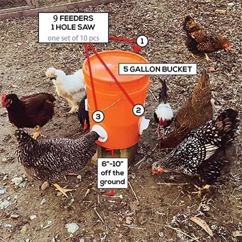 Feeding Kit Special Tools For Breeding Chickens Ducks Poultry Accessories - Image 3