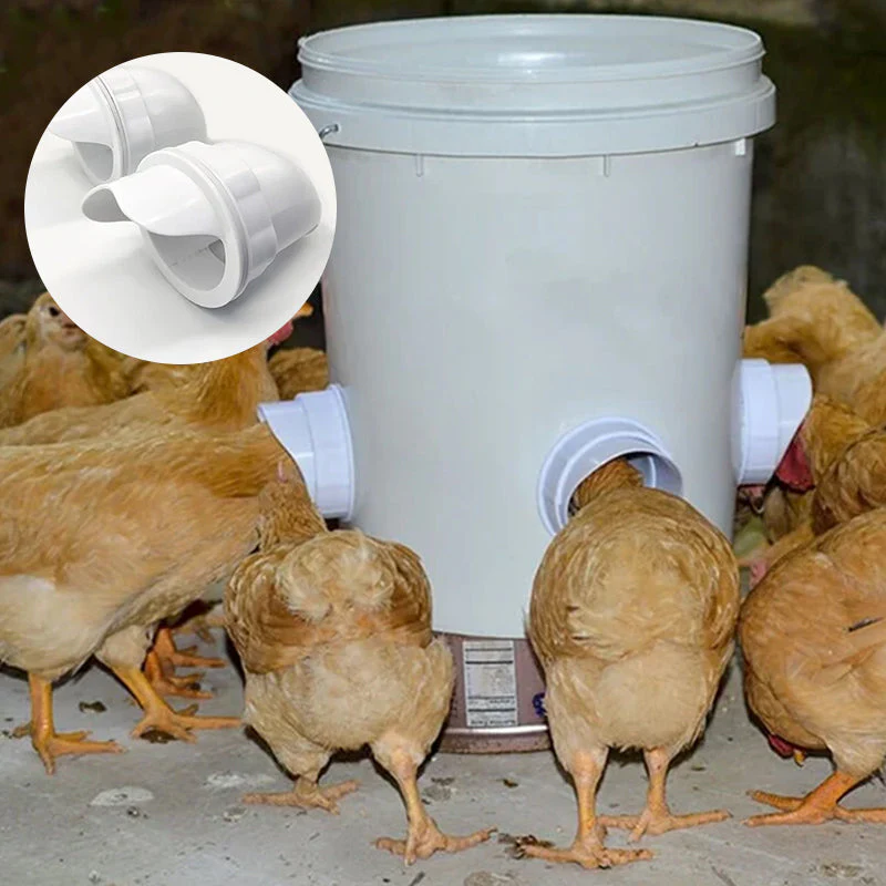 Feeding Kit Special Tools For Breeding Chickens Ducks Poultry Accessories - Image 9