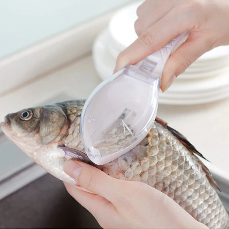 Fish Skin Scraping Scale Peeler - Image 2