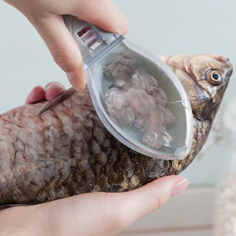 Fish Skin Scraping Scale Peeler - Image 3