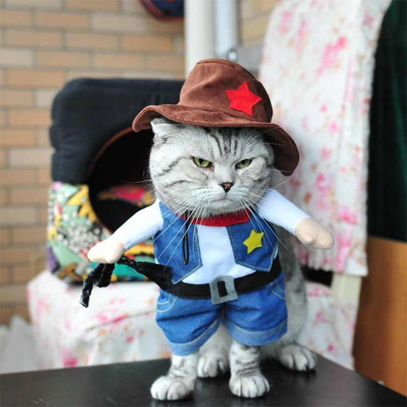 Funny Pet Costumes - Image 10