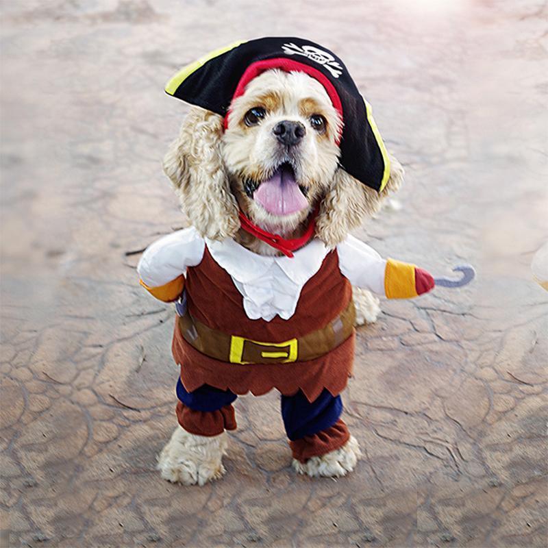 Funny Pet Costumes - Image 11