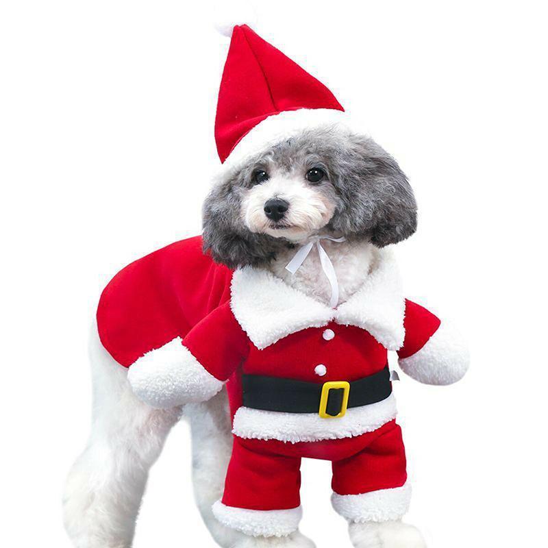 Funny Pet Costumes - Image 12