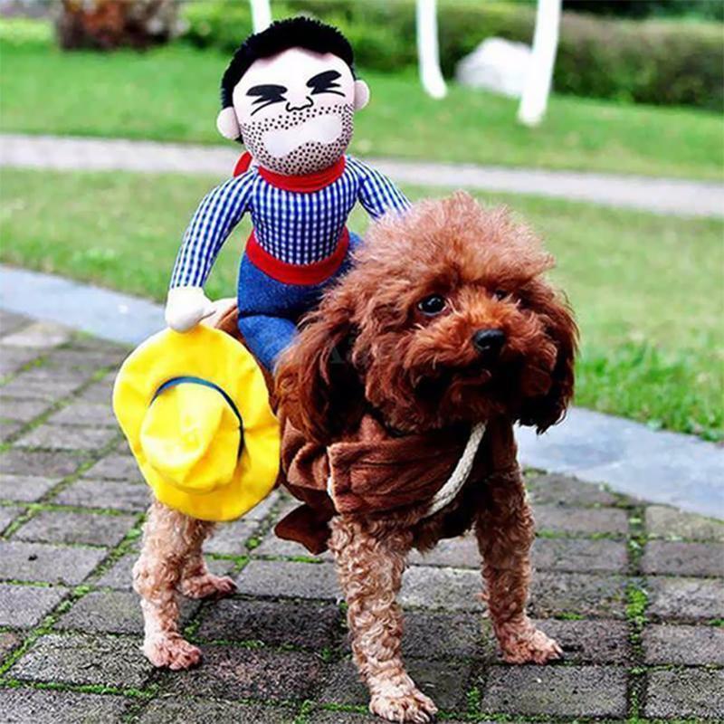 Funny Pet Costumes - Image 13