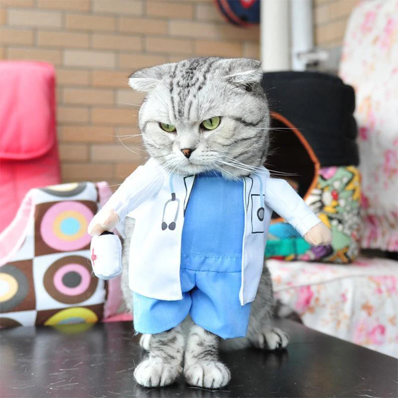 Funny Pet Costumes - Image 14