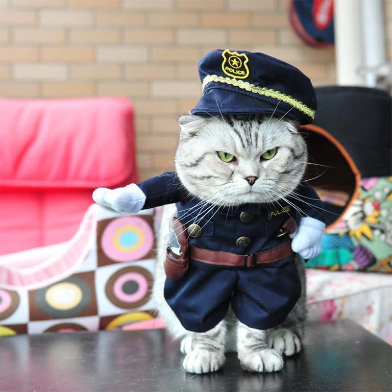 Funny Pet Costumes - Image 16