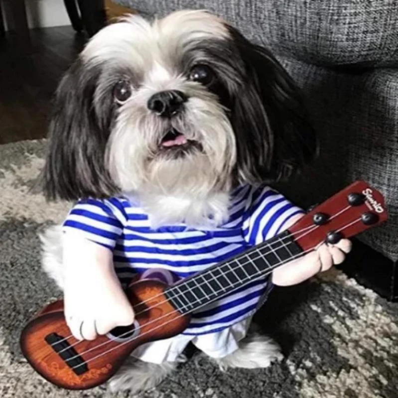 Funny Pet Costumes - Image 4
