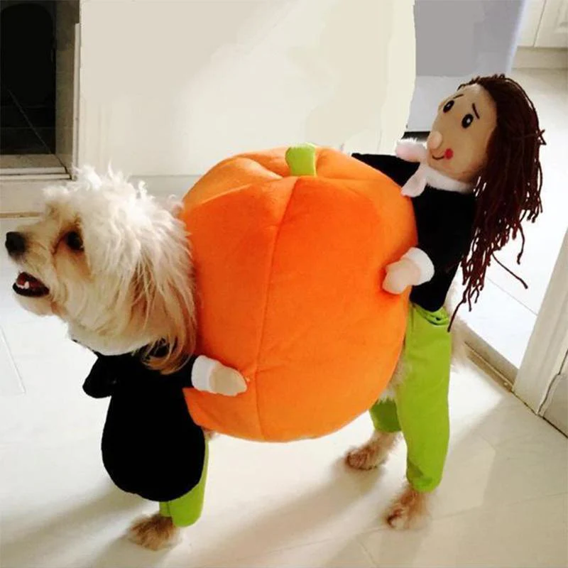 Funny Pet Costumes - Image 5