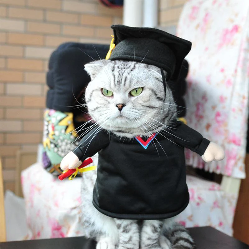 Funny Pet Costumes - Image 6