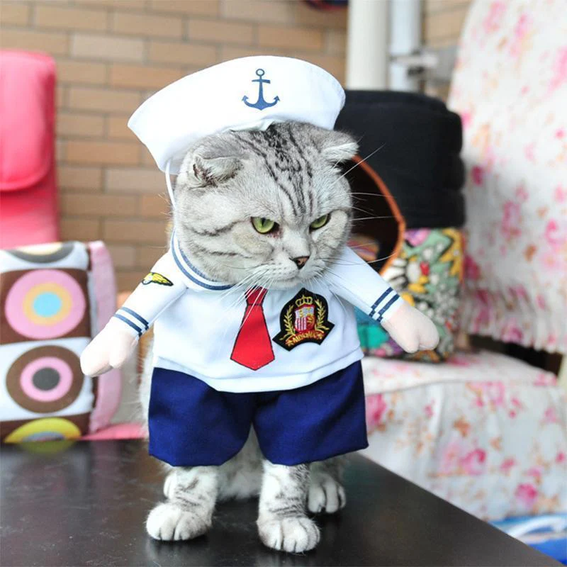 Funny Pet Costumes - Image 7