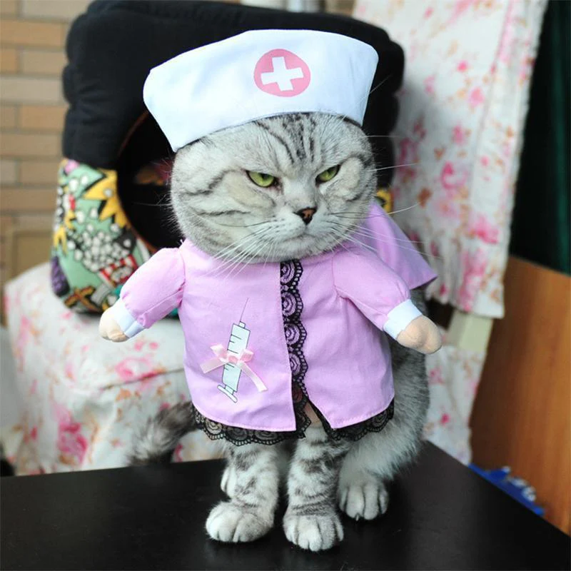 Funny Pet Costumes - Image 8