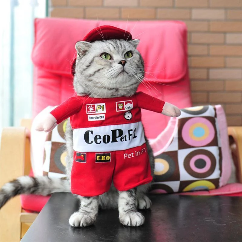 Funny Pet Costumes - Image 9