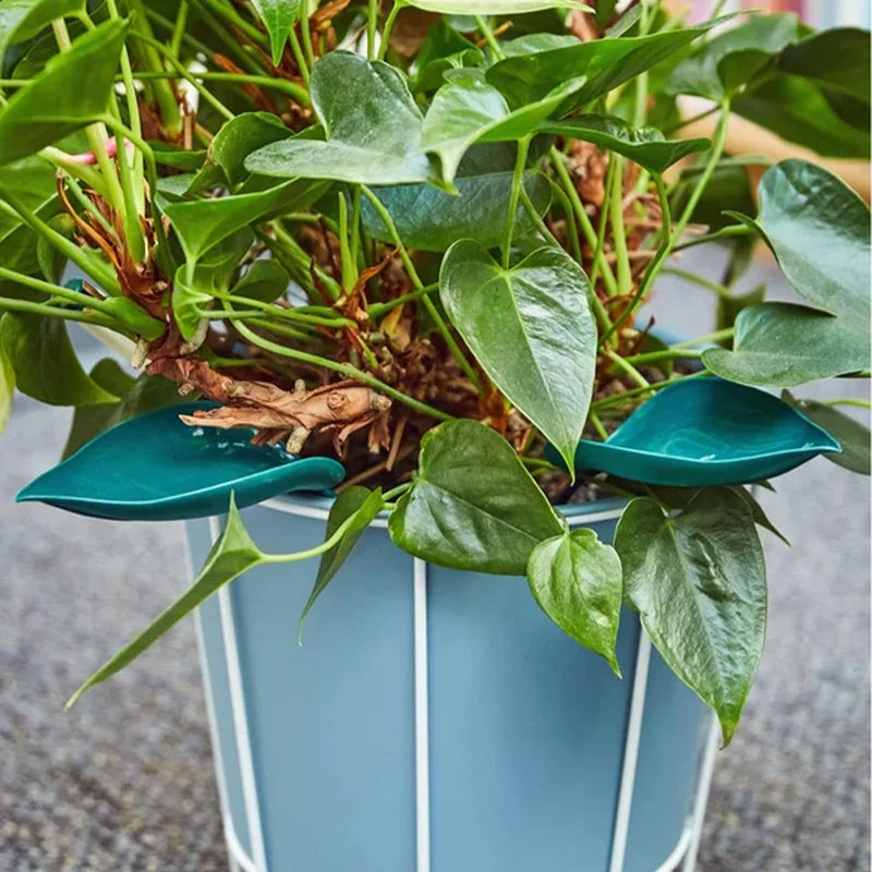 🌸🥬Funny Watering Leaves (6pcs)🥬🌸 - Image 6