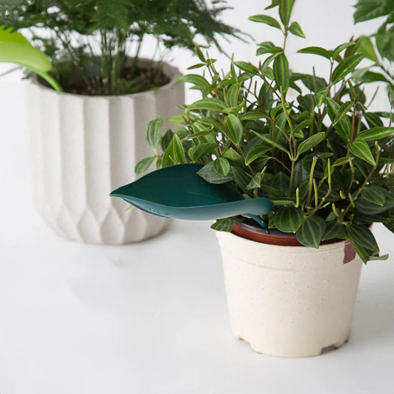🌸🥬Funny Watering Leaves (6pcs)🥬🌸 - Image 8