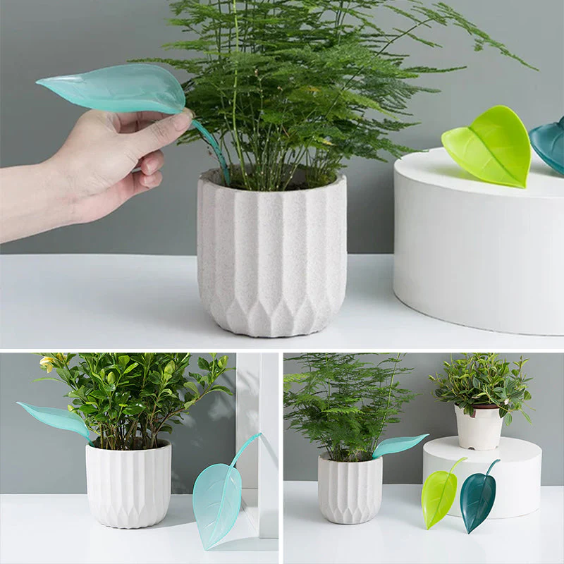 🌸🥬Funny Watering Leaves (6pcs)🥬🌸 - Image 9
