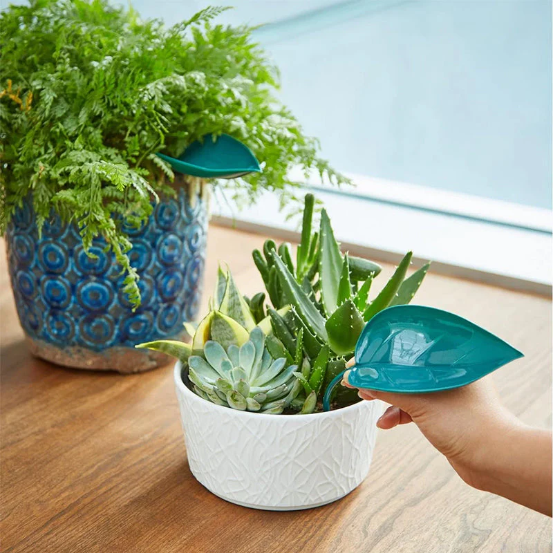🌸🥬Funny Watering Leaves (6pcs)🥬🌸 - Image 3