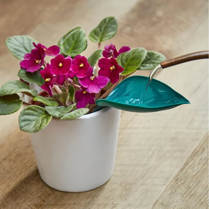 🌸🥬Funny Watering Leaves (6pcs)🥬🌸 - Image 4