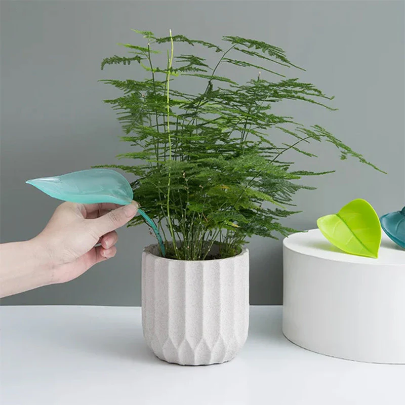 🌸🥬Funny Watering Leaves (6pcs)🥬🌸 - Image 7