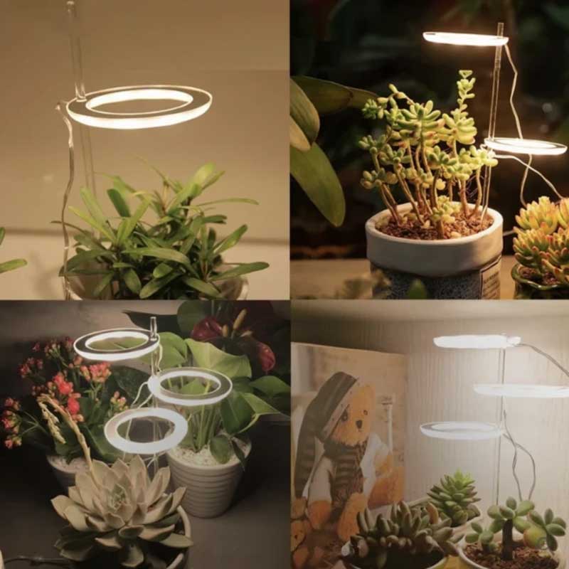 Grow lights for indooe plants - Image 2