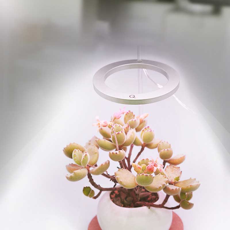 Grow lights for indooe plants - Image 3