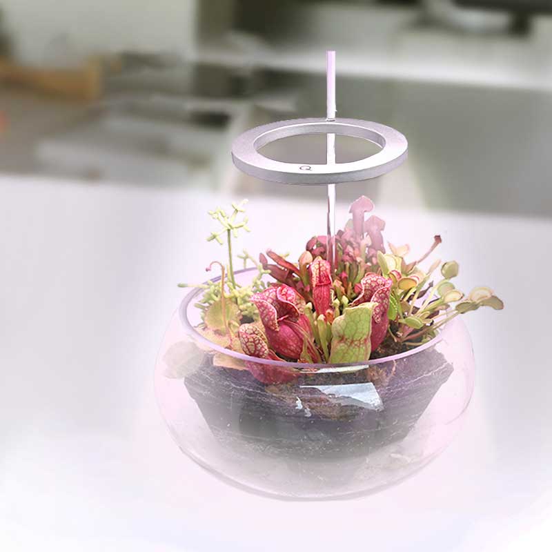 Grow lights for indooe plants - Image 4