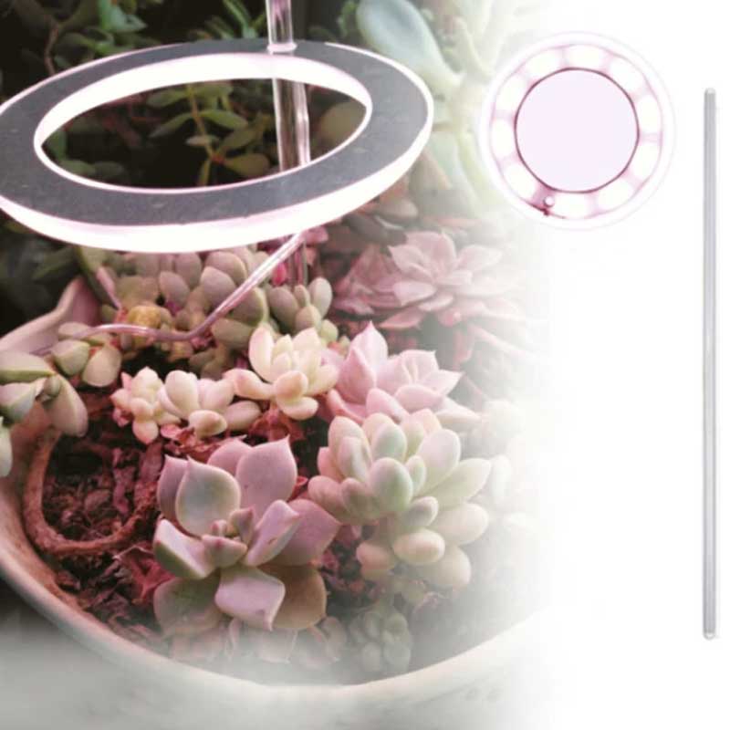 Grow lights for indooe plants - Image 5