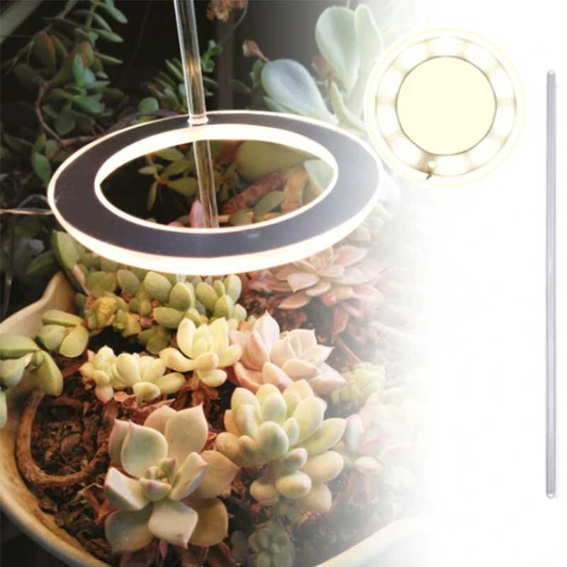 Grow lights for indooe plants - Image 6