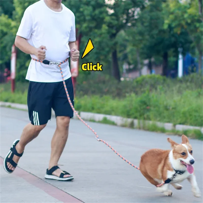 Hands Free Dog Leashes - Image 3