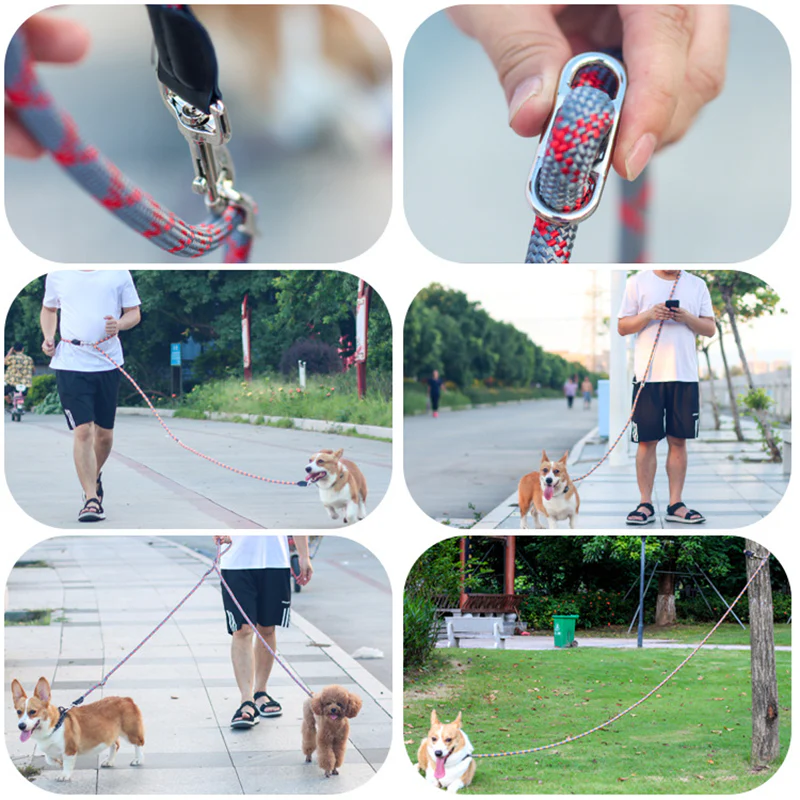 Hands Free Dog Leashes - Image 4