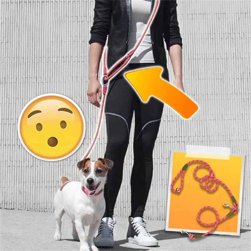 Hands Free Dog Leashes - Image 5