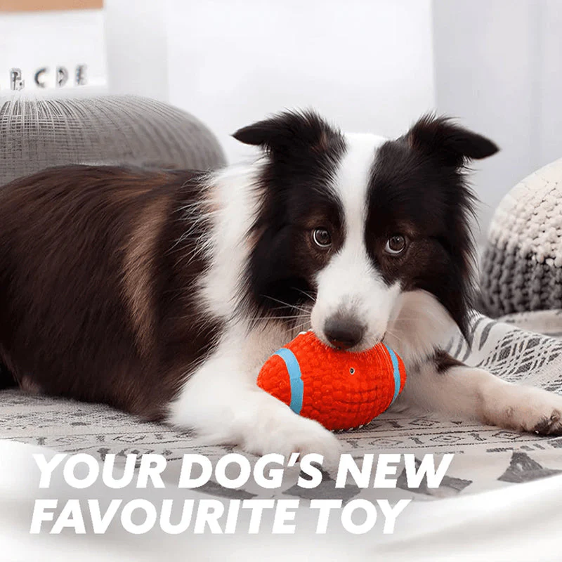 Immortal Toy For Aggressive Chewers - Image 2