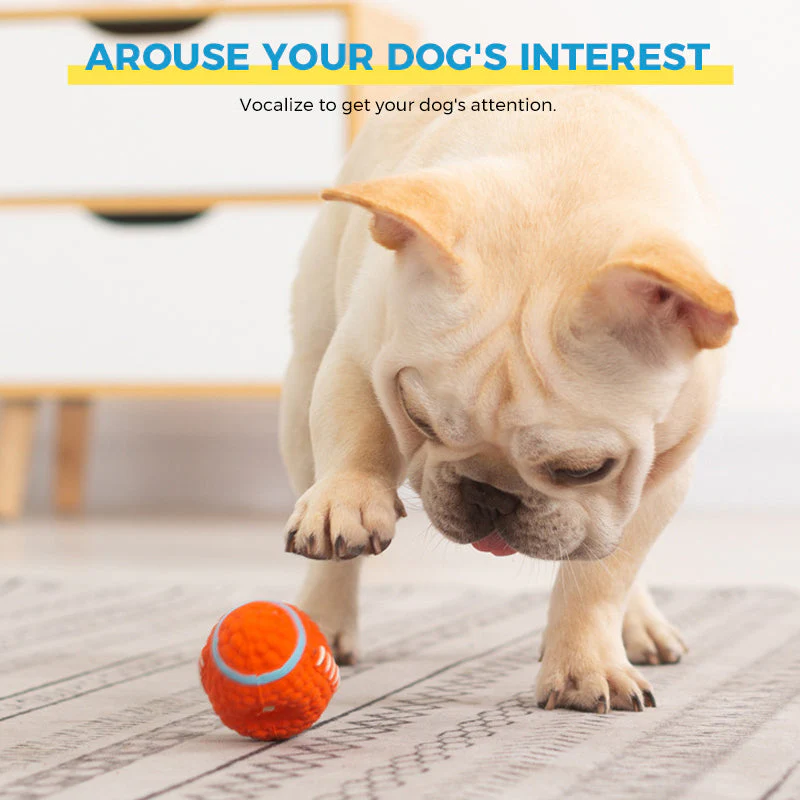 Immortal Toy For Aggressive Chewers - Image 7