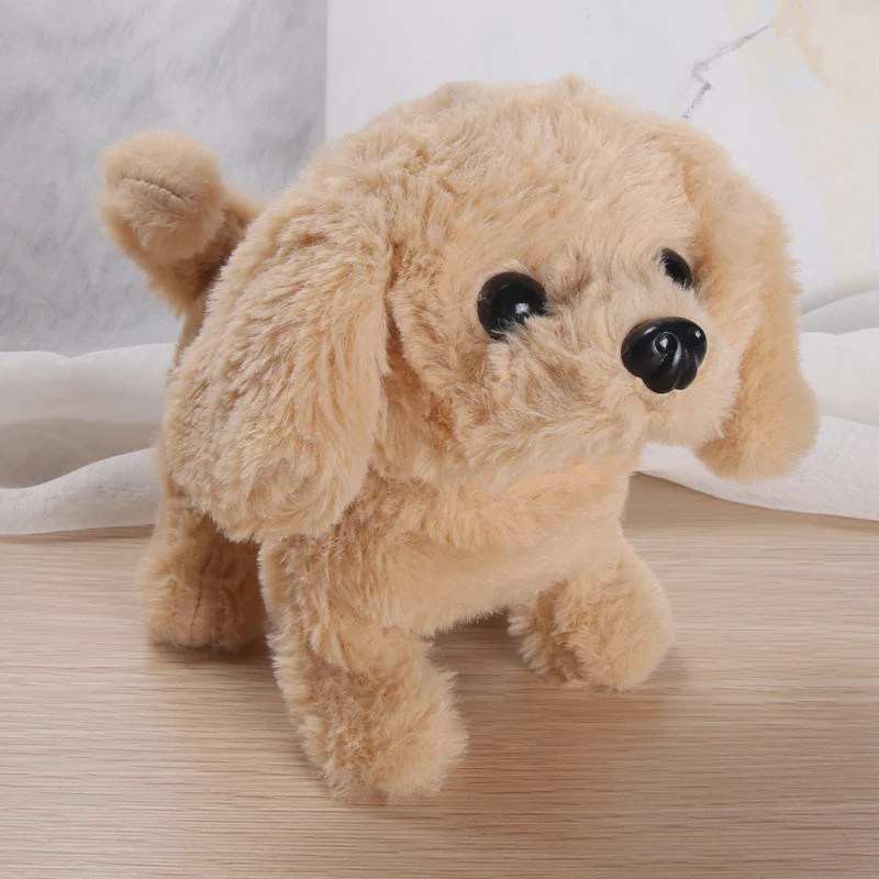 Interactive Simulation Toy - Image 20