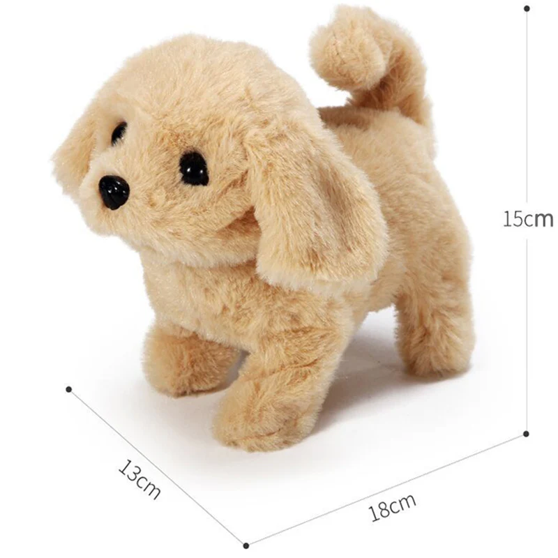 Interactive Simulation Toy - Image 29