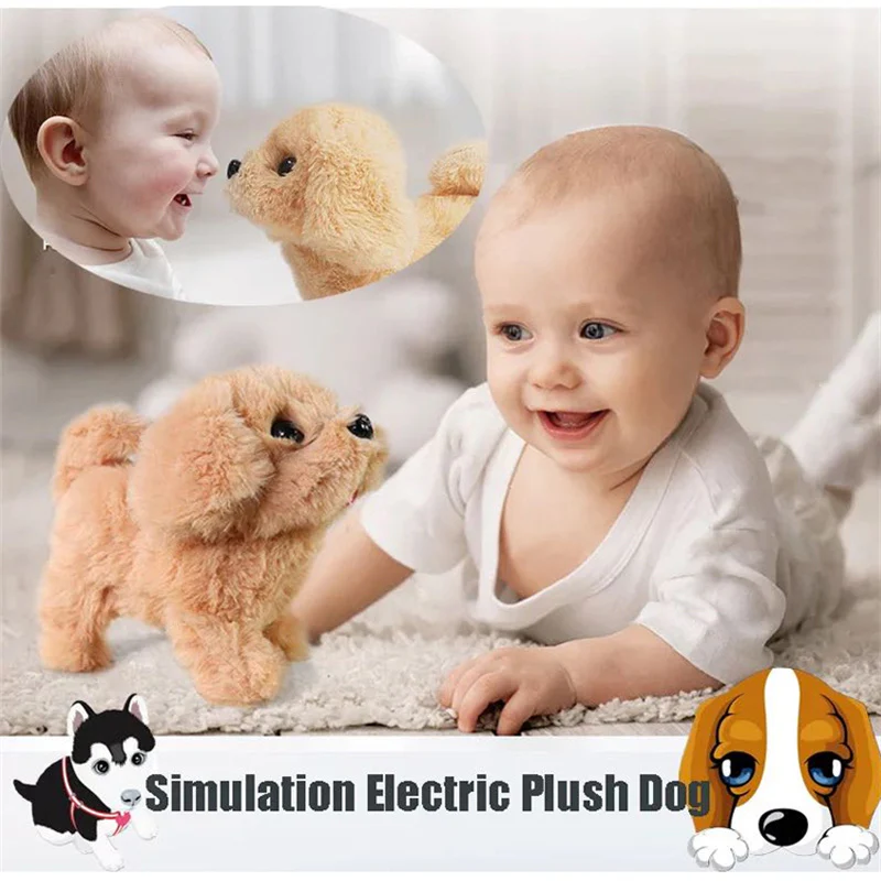 Interactive Simulation Toy - Image 5
