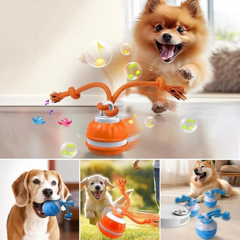 Interactive Smart Rolling Pet Ball - Image 10